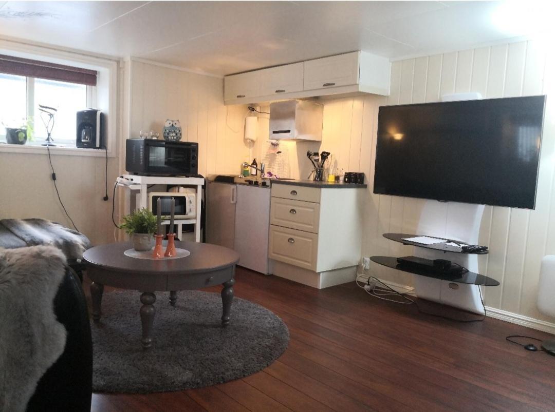Sentral Studioleilighet Ved Stranden Og Hvalsenter Nb Ma Vaskes Etter Endt Leie Eller Betale Rengjoringshjelpen 500 Kr Andenes Bagian luar foto